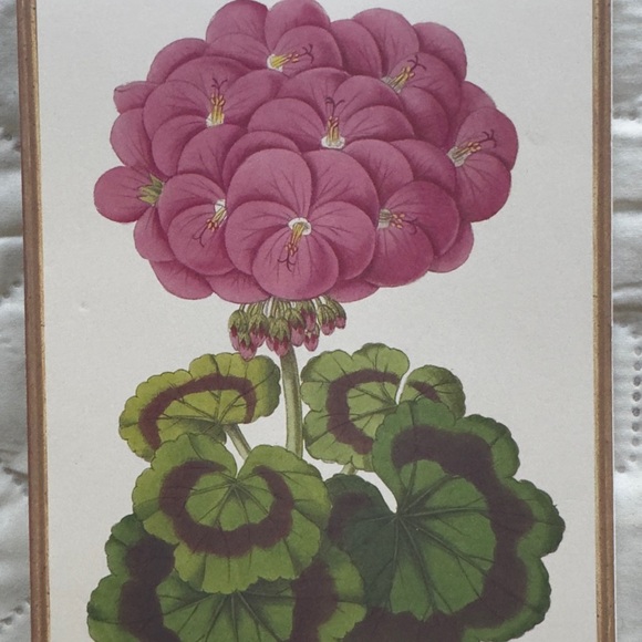 NWOT, Luxury Floral Note Pad by Anna Griffin, Pink Hydrangea with Green Leaves - Picture 4 of 4